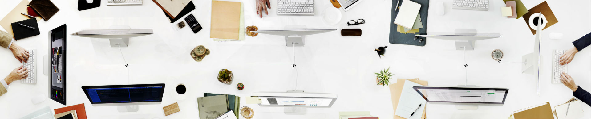 תכנית המנטורינג